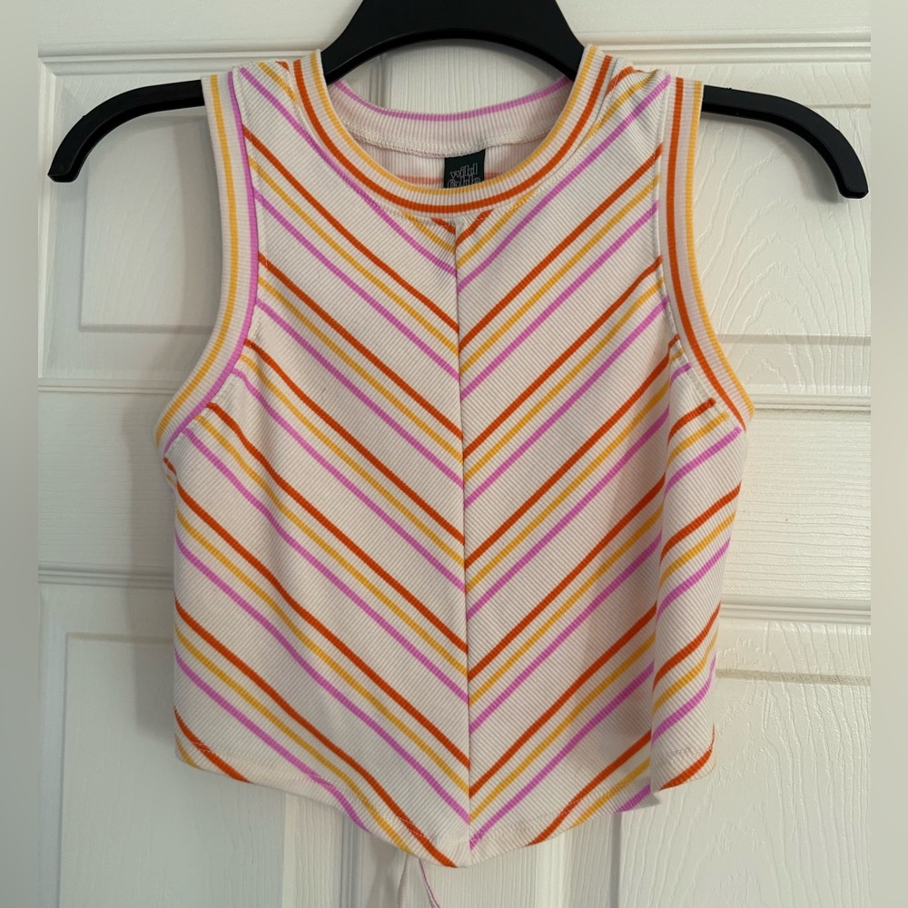 Wild Fable Multicolor Striped Crop Top